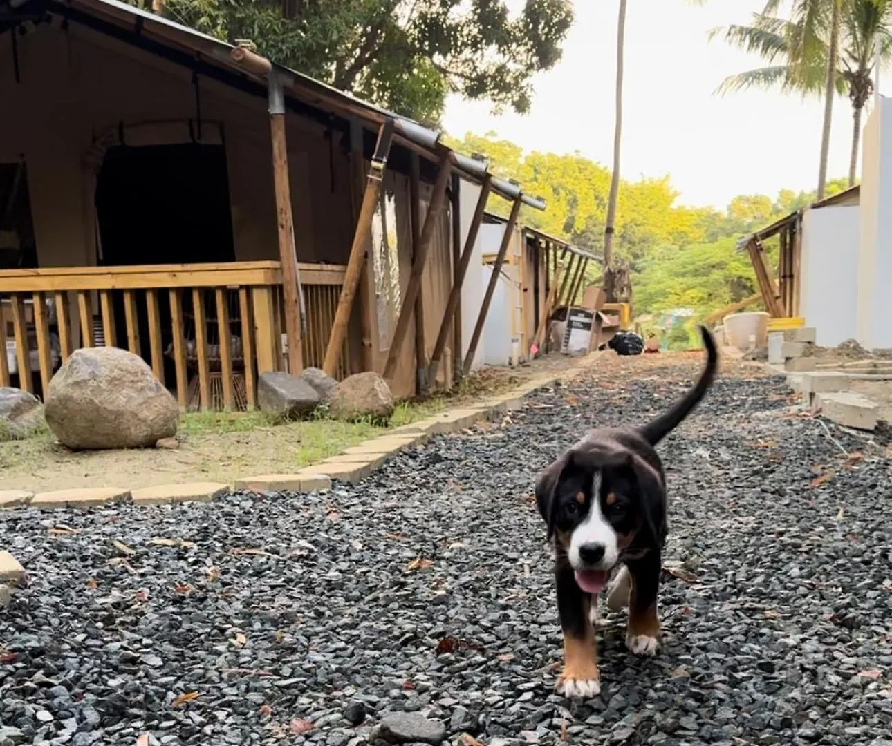 Jardin Al Bosque-Glamping Hotell San Juan Puerto Rico